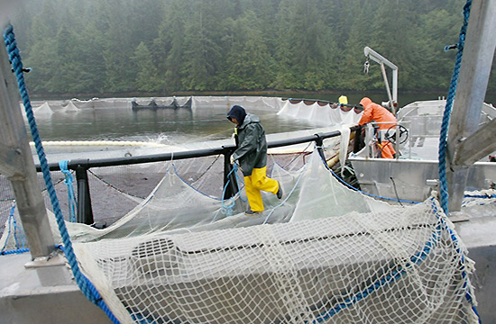 SUSTAINABLE RESOURCE MANAGEMENT IN AQUACULTURE AND AGRICULTURE